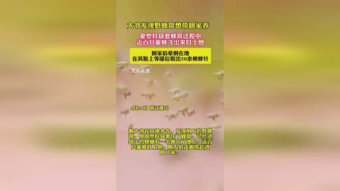 素野28日，友情、欢笑与家的温暖日记