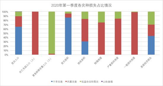 揭秘28日最新版网红，特性、体验、对比与前景深度解析