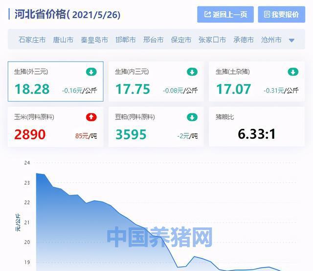 11月5日玉米棒价格最新行情及多方观点交织的深度解析