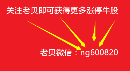 2024年11月12日 第25页