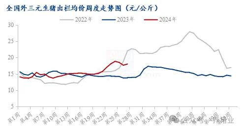 2024年最新猪价行情走势分析，未来预测与智能系统解读