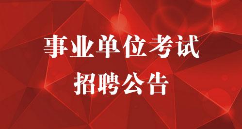 2024年郴州嘉禾招聘最新信息深度解析，特性、体验、竞品对比与用户分析