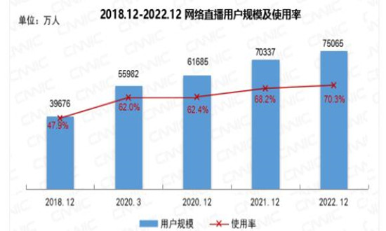 广西城市最新规划深度解析，机遇与挑战展望（11月15日更新）